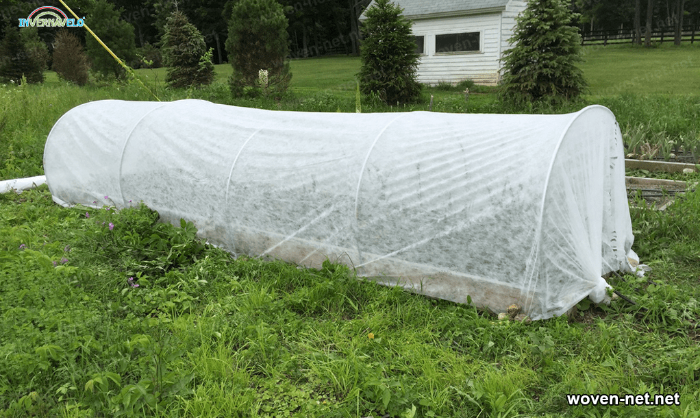 Woven netting 